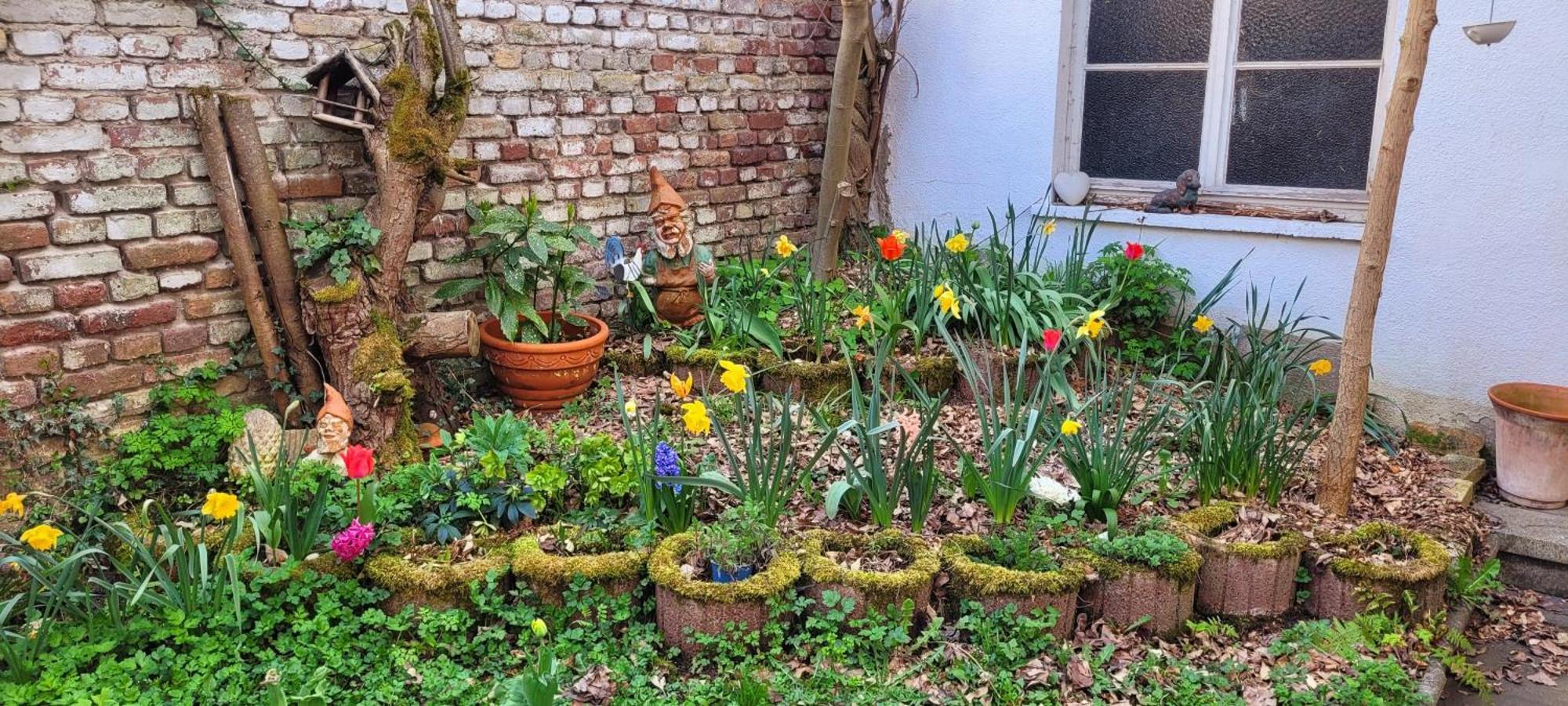 Urlaub Am Rhein, Ferienwohnung Mit Garten Boppard Exteriér fotografie