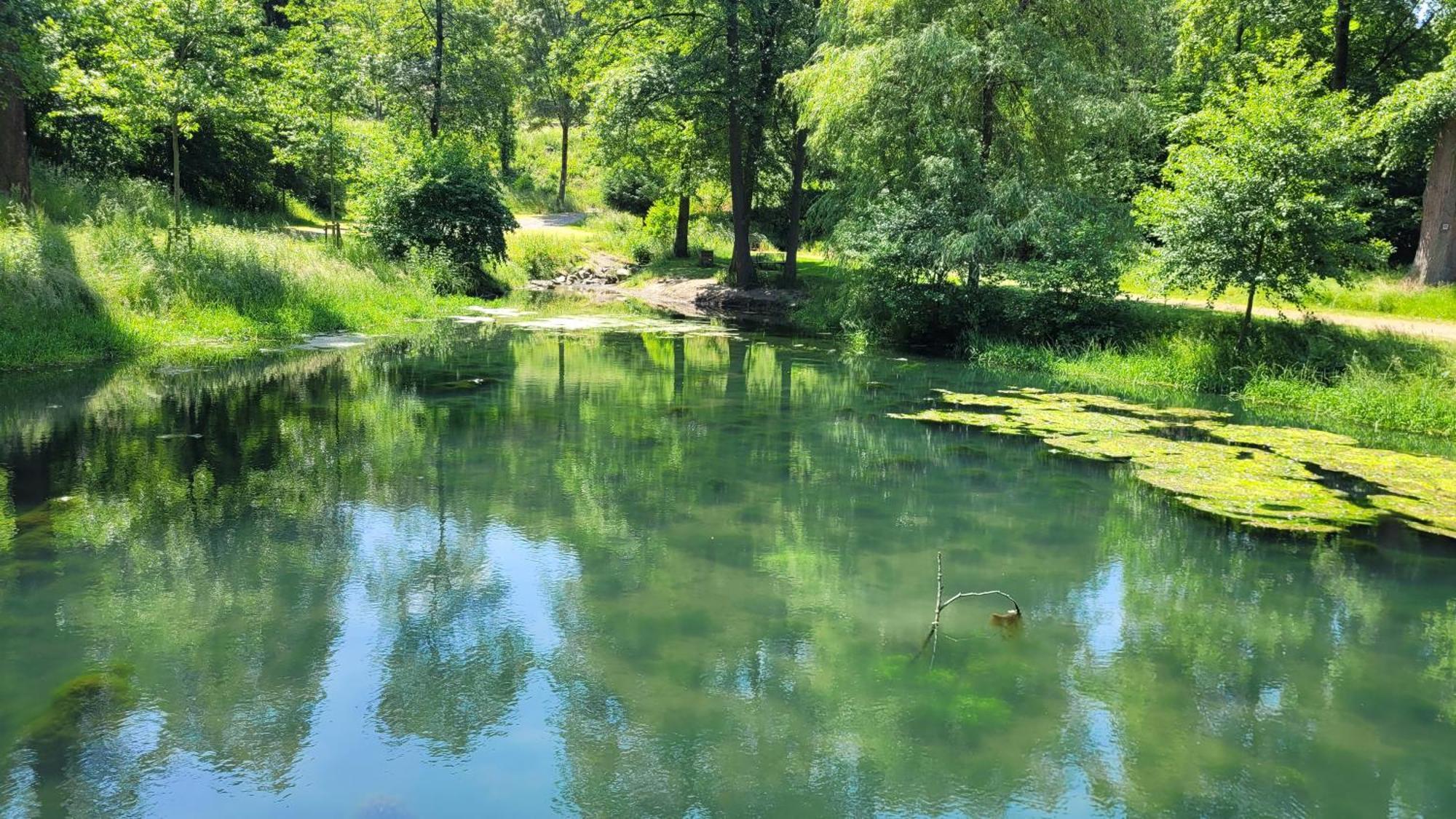 Urlaub Am Rhein, Ferienwohnung Mit Garten Boppard Exteriér fotografie