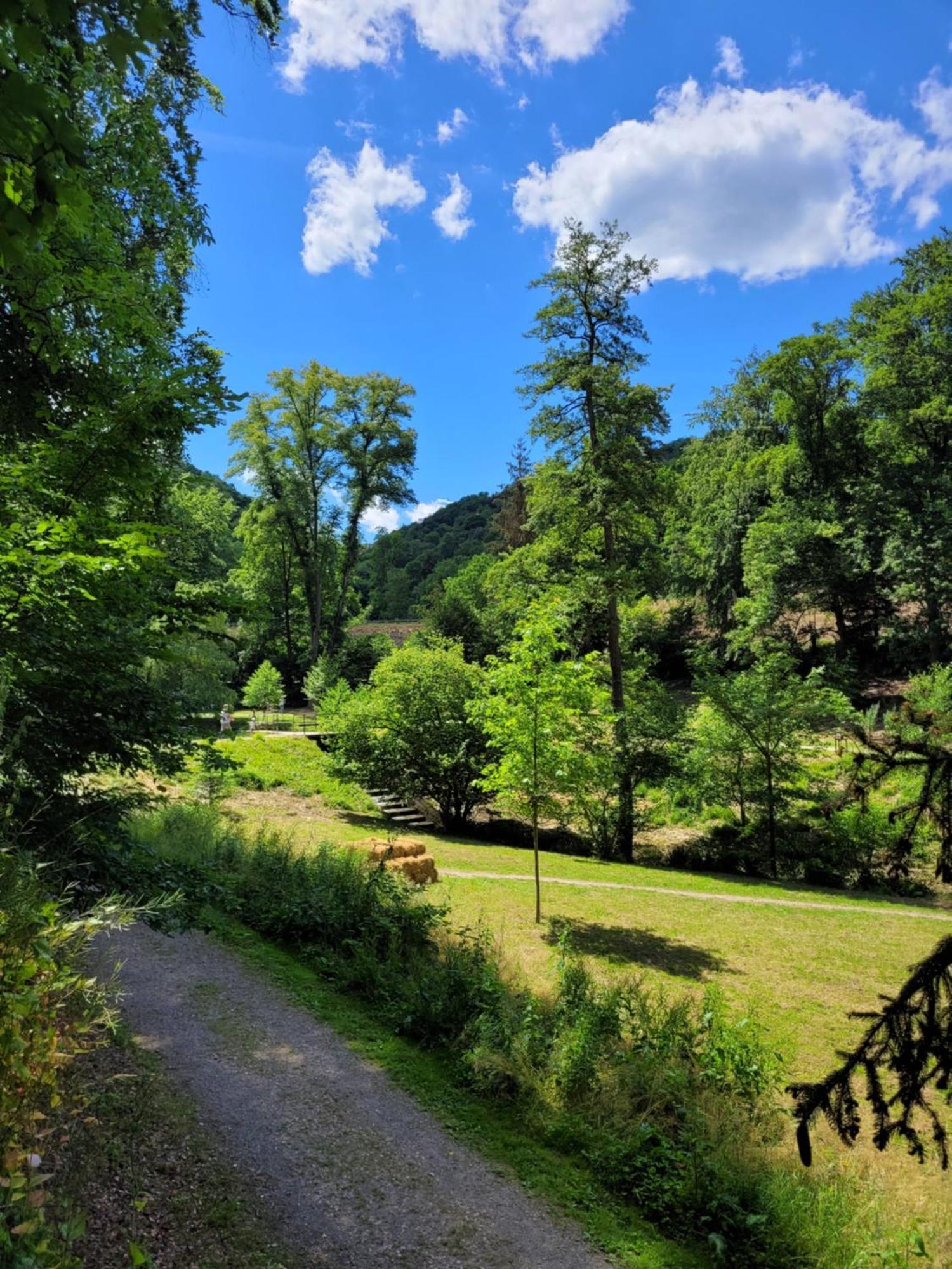 Urlaub Am Rhein, Ferienwohnung Mit Garten Boppard Exteriér fotografie